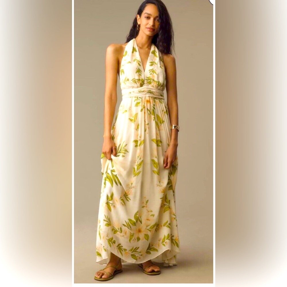 FARM Rio V-Neck Floral Chiffon Maxi Dress